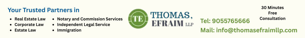 thomasefraimllp Banner Ads