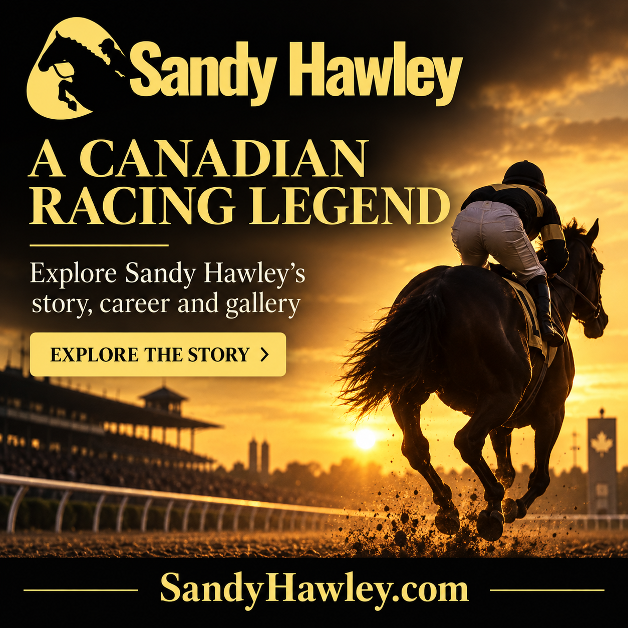 Sandy Hawley ad showing an illustrative horse-racing scene and the SandyHawley.com domain